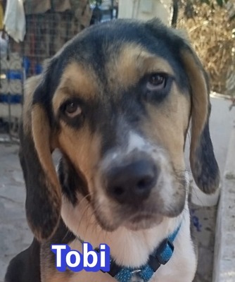 Tobi
