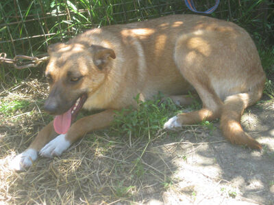 Tola wartet auf IHRE Menschen