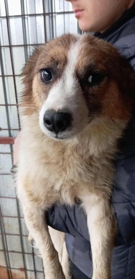 Tortellini – verloren zwischen Lärm und Hoffnung