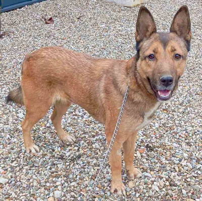 Trish freut sich auf IHRE Familie