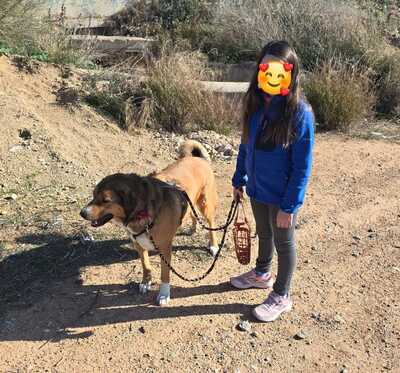 Tuna, Mischling - Hündin