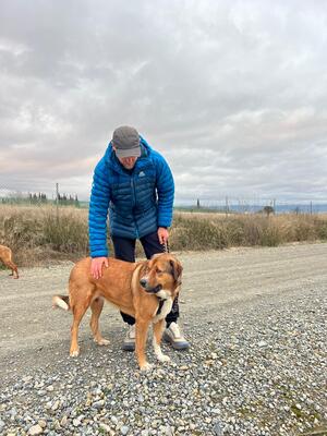 Tuna, Mischling - Hündin