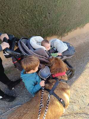 Tuna, Mischling - Hündin