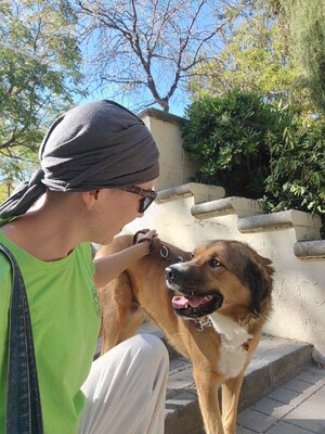 Tuna, Mischling - Hündin