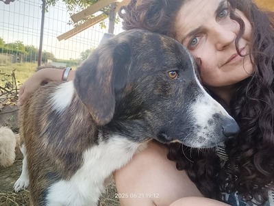 Valentin sucht ein liebevolles Für-Immer-Zuhause