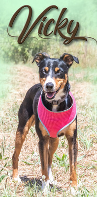 Vicky - bereit für ein neues Kapitel