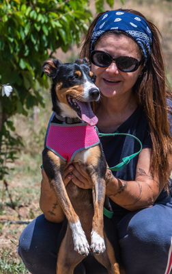 Vicky - bereit für ein neues Kapitel, Mischling - Hündin