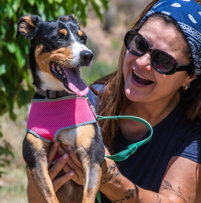 Vicky - bereit für ein neues Kapitel, Mischling - Hündin