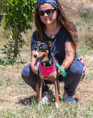 Vicky - bereit für ein neues Kapitel, Mischling - Hündin