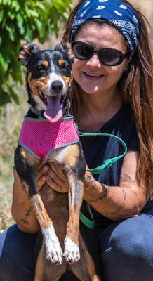 Vicky - bereit für ein neues Kapitel, Mischling - Hündin