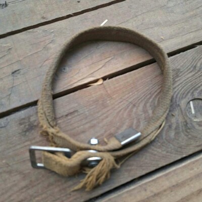 💥Viking Dackel /Labrador Mischling ist ein ruhiger, aber dennoch verspielter Hund, der jedem, dem er begegnet, freudig entgegentritt💥, Dackel /Labrador Mischling - Rüde