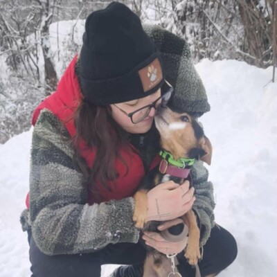 🐶Viktor süßer Bub ist ein netter kleiner herzensguter Hund, extrem sanft und lieb 💥, Mischling - Rüde