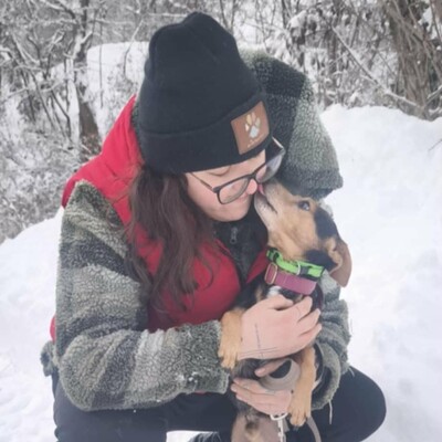 🐶Viktor süßer Bub ist ein netter kleiner herzensguter Hund, extrem sanft und lieb 💥, Mischlingsrüde - Rüde