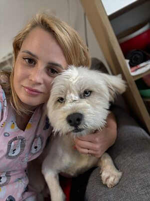 Wer schenkt Angelo, mit den strahlenden blauen Augen, sein Happy End ?, Mischling - Rüde