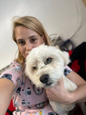 Wer schenkt Angelo, mit den strahlenden blauen Augen, sein Happy End ?, Mischling - Rüde