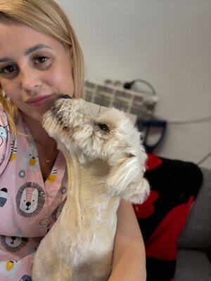 Wer schenkt Angelo, mit den strahlenden blauen Augen, sein Happy End ?, Mischling - Rüde