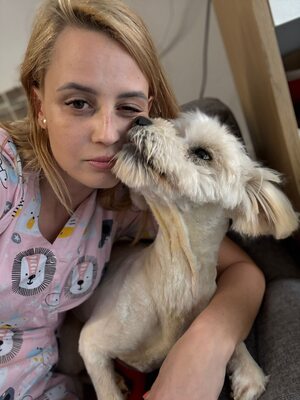 Wer schenkt Angelo, mit den strahlenden blauen Augen, sein Happy End ?, Mischling - Rüde