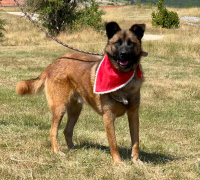 White Lunas Son möchte mit IHNEN durchs Leben gehen
