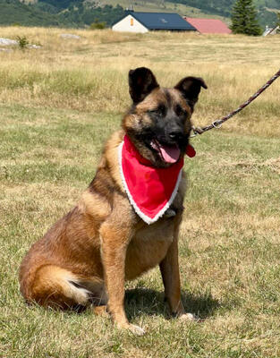 White Lunas Son möchte mit IHNEN durchs Leben gehen