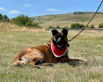 White Lunas Son möchte mit IHNEN durchs Leben gehen