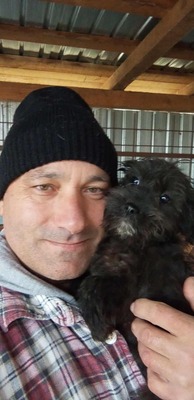 Wuschelzwergerl Dori sucht dringend ein liebevolles Zuhause, Bolonka - Mischling Welpen - Hündin