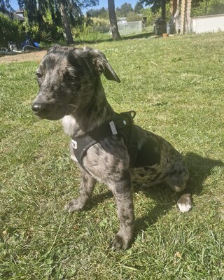 YUKI sucht eigene Familie