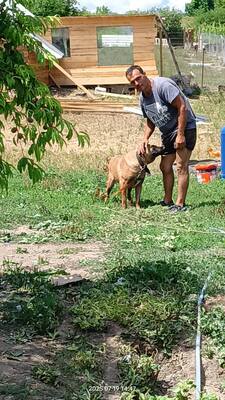 Yago sucht seinen ganz besonderen Menschen, Mischling - Rüde