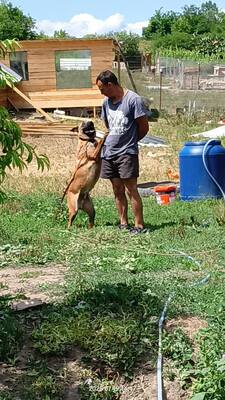 Yago sucht seinen ganz besonderen Menschen, Mischling - Rüde