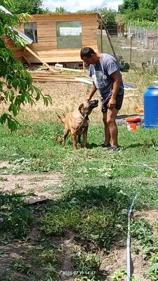 Yago sucht seinen ganz besonderen Menschen, Mischling - Rüde