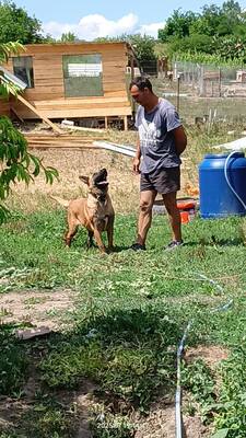 Yago sucht seinen ganz besonderen Menschen, Mischling - Rüde