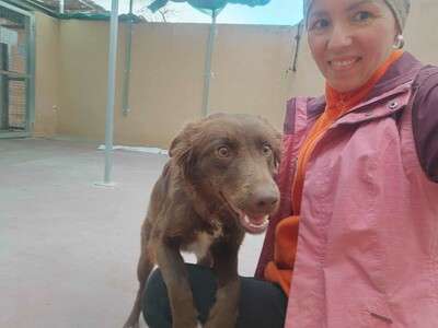 Yira, Mischling - Hündin