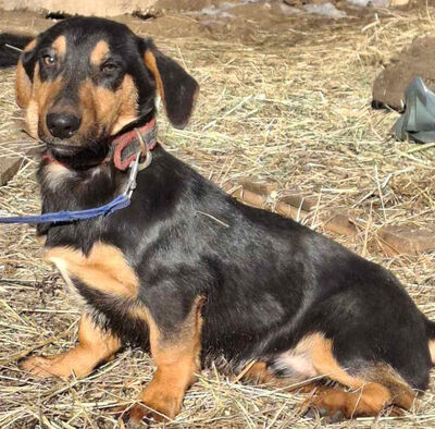 Yupi möchte IHNEN Freude schenken