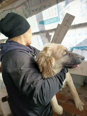 🌸 ZOE – ein kleines Wunder auf vier Pfoten 🌸, Mischling - Hündin