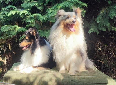 Zodie & Moon