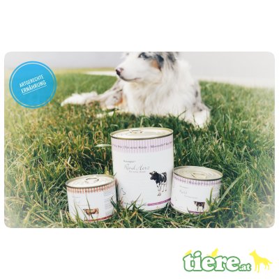 artgerechte Fütterung