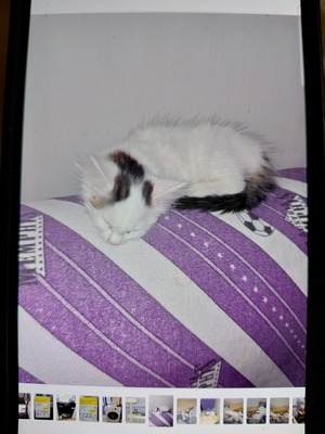 2 brüder suchen enen wohnungsplatz