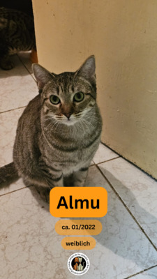 Almu