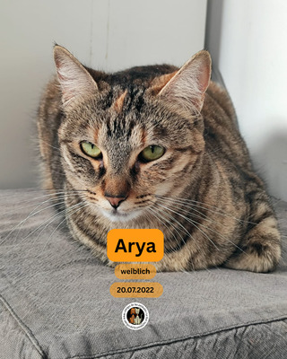 Arya