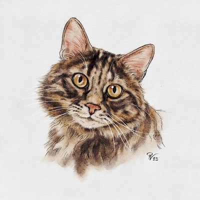 Besonderheit: Katzenportraits; Tierportraits ab Foto im Miniformat 1