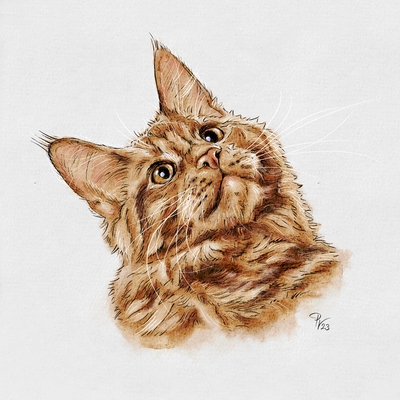 Besonderheit: Katzenportraits; Tierportraits ab Foto im Miniformat