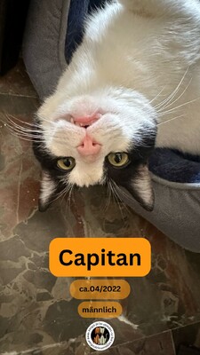 Capitán