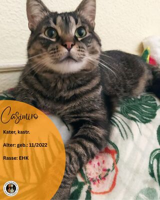 Casimiro