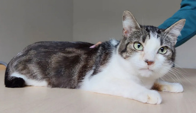 Edelweiß - verschmuste Mama mit Sohn im Gepäck