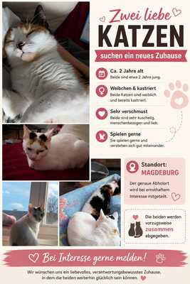 Hope und Martha, Ehk - Katze