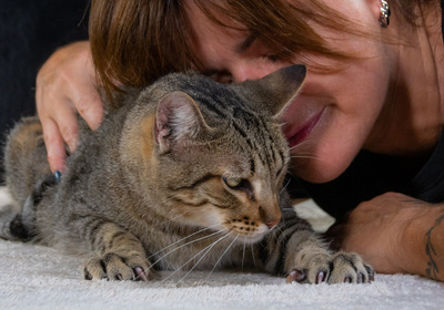 Ismael - lieb und verschmust, Mix - Kater