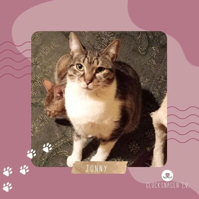 Kater Jonny watete auf seine lieben Menschen