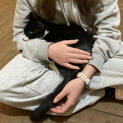 Kater Morris und Peppi warten auf Post, EKH - Kater