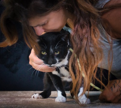 Kenji - ein besonderer Kater, Mix - Kater