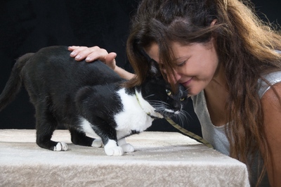 Kenji - ein besonderer Kater, Mix - Kater