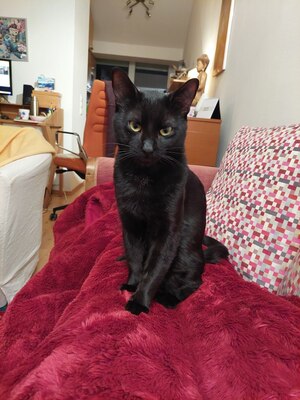Kiki